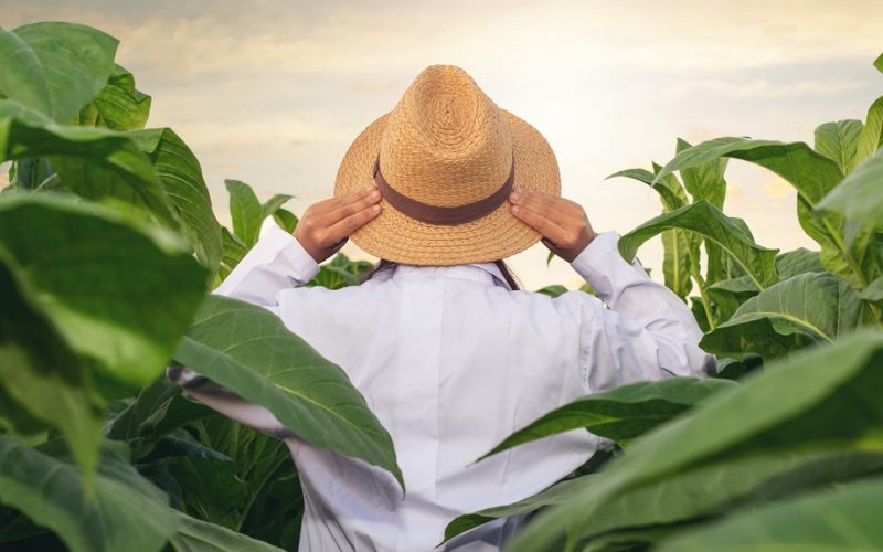 Somos um país de agricultores