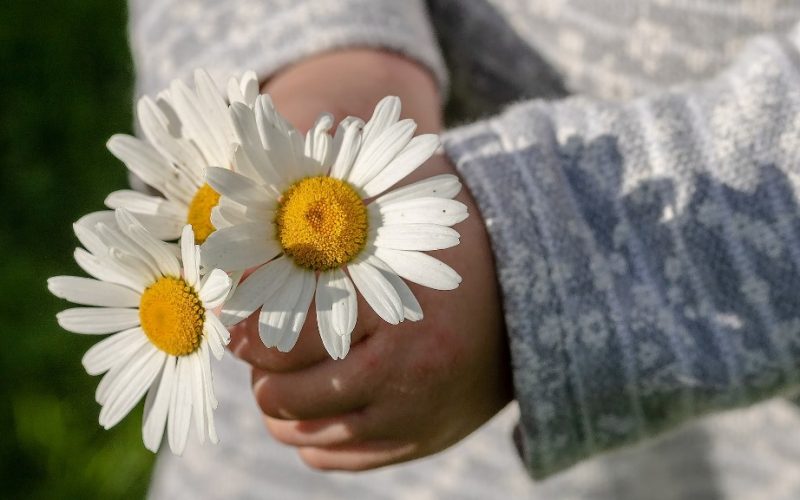 Bem-me-quer, mal-me-quer: Como dar feedback eficaz?