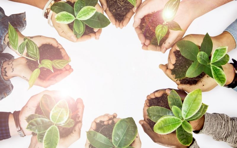 O futuro é das Caring Companies